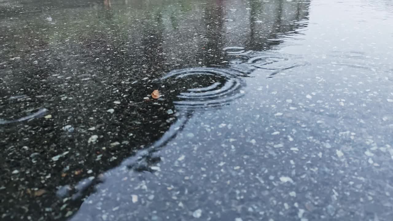 有水坑和雨滴的雨天气。视频素材