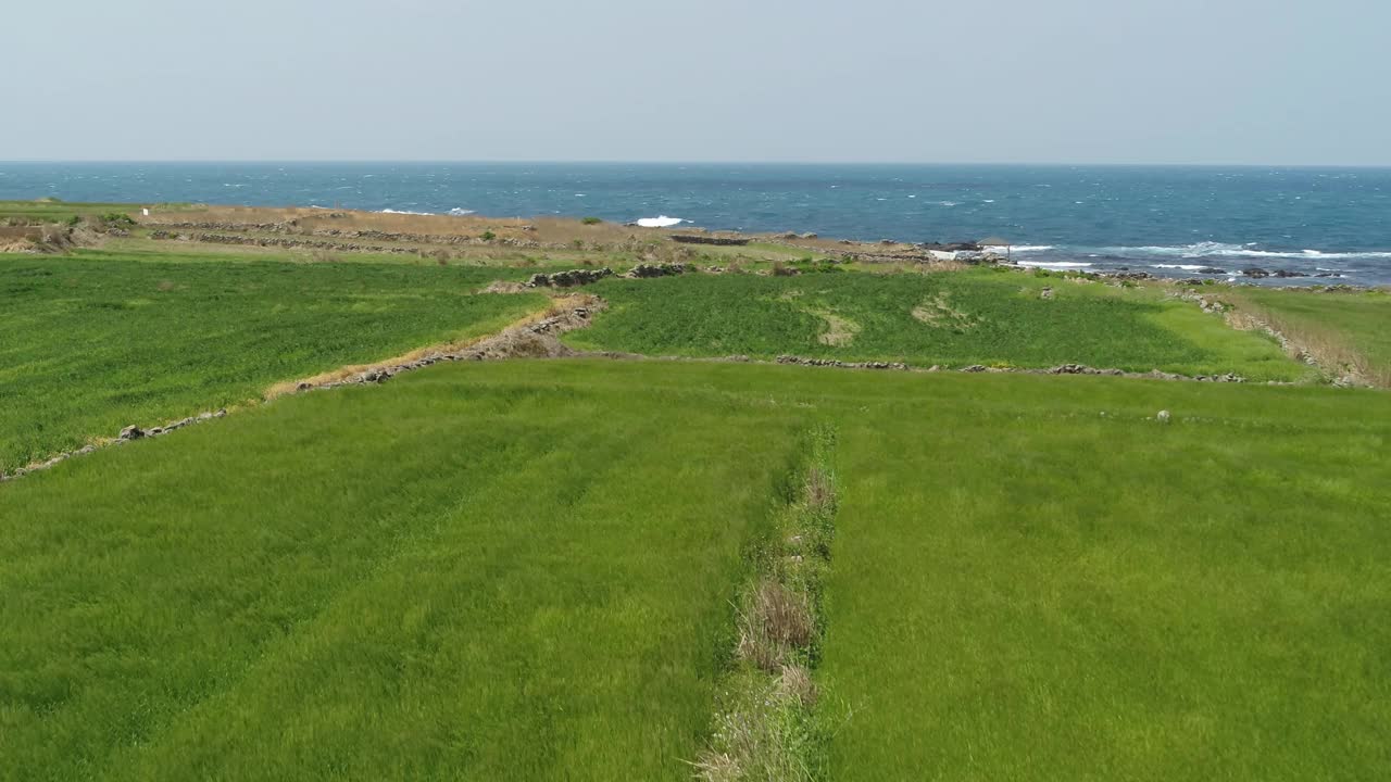 韩国济州岛西归浦加坡岛的农田景色视频素材