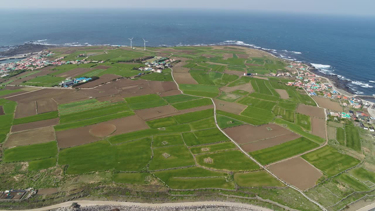 韩国济州岛西归浦加坡岛的麦田和风力发电机风光视频素材