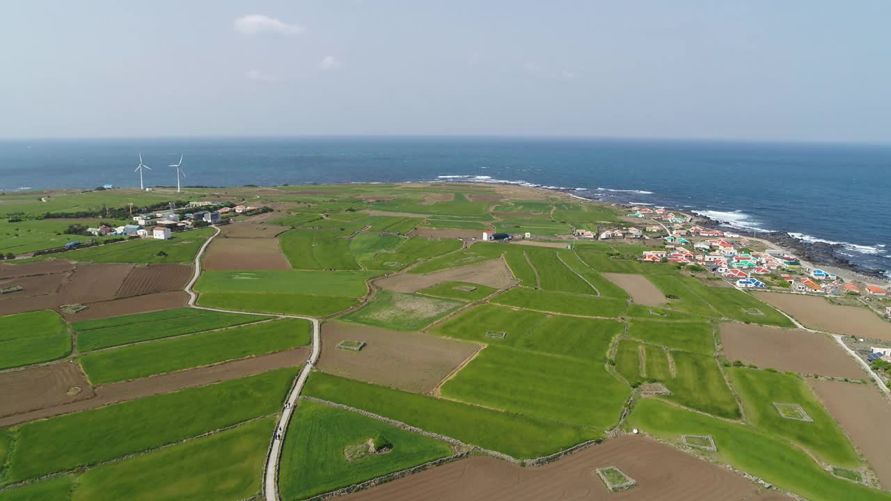 韩国济州岛西归浦加坡岛的麦田和风力发电机风光视频素材