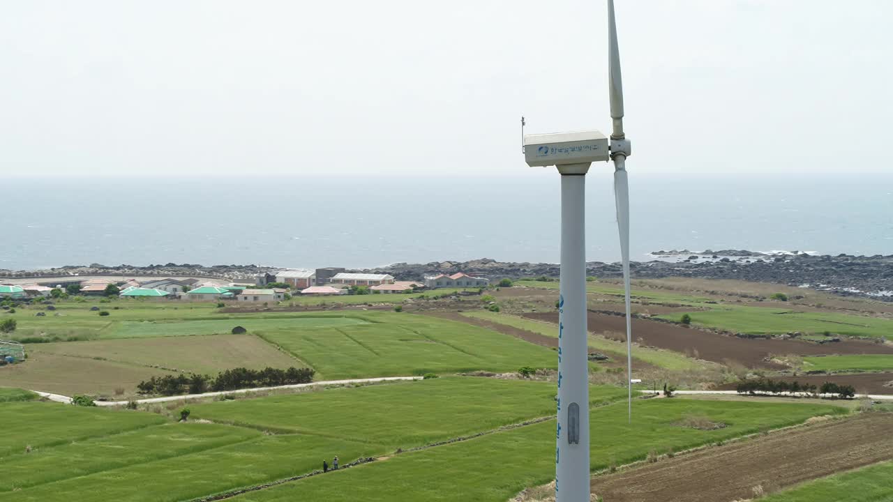 韩国济州岛西归浦加坡岛的麦田和风力发电机风光视频素材