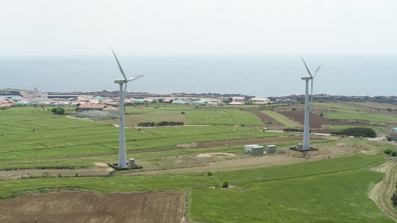 韩国济州岛西归浦加坡岛的麦田和风力发电机风光视频素材