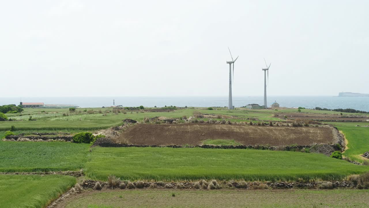 韩国济州岛西归浦加坡岛麦田的景色视频素材