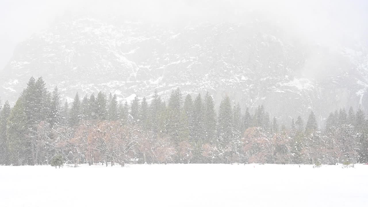 约塞米蒂山谷下大雪视频素材