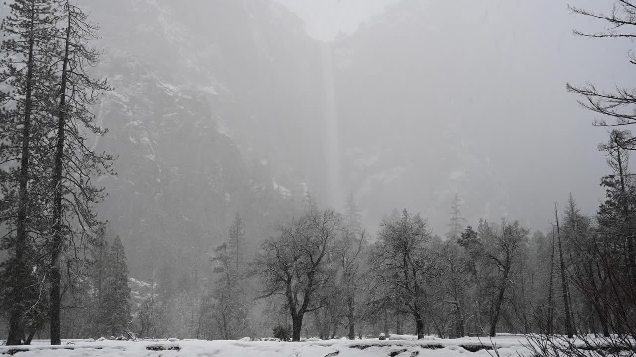 新娘面纱在雪雾中若隐若现视频素材