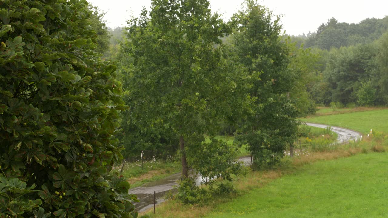 森林和农田背景下的大雨。夏雨。淋浴坏天气。雨落在绿色植物的叶子上。平静放松冥想和平的背景。秋天多雨的天气。视频素材