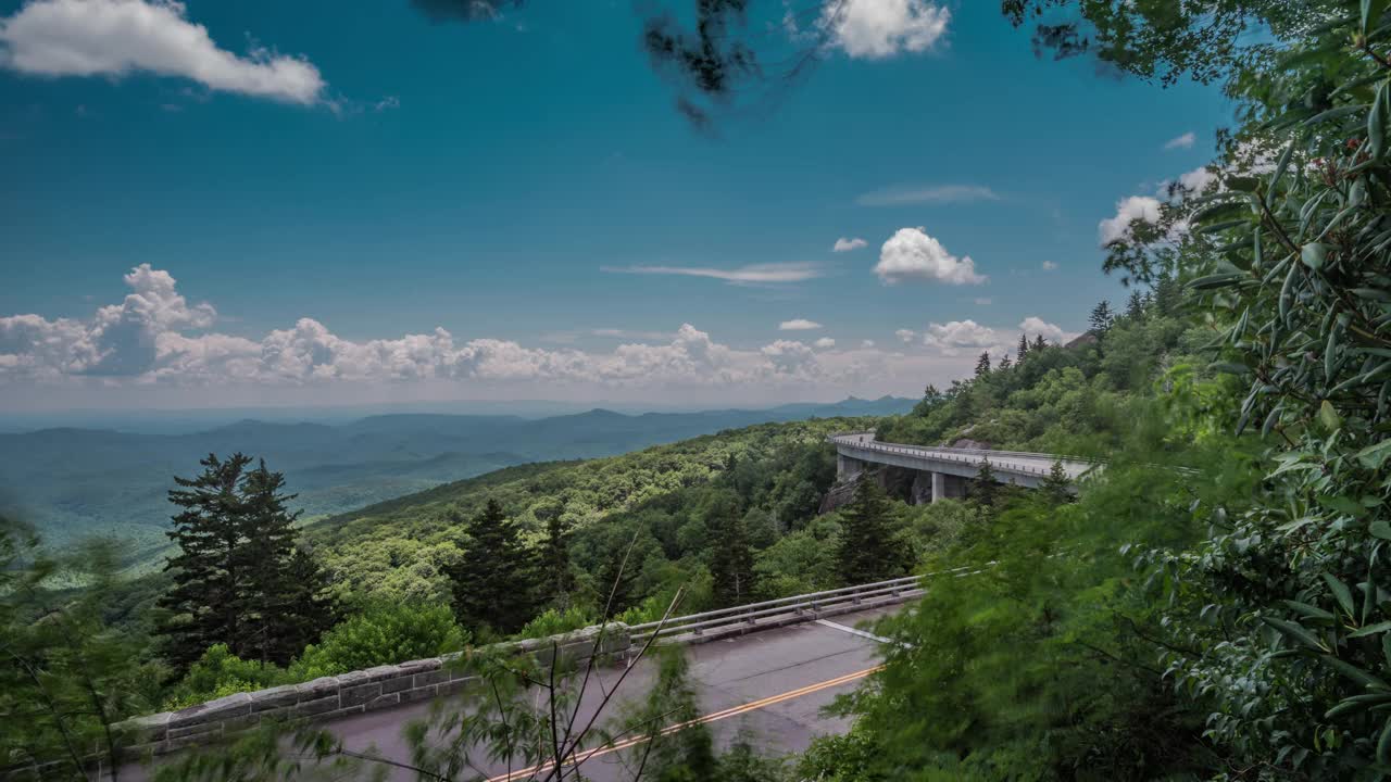 4K TL林湾夏日视频素材