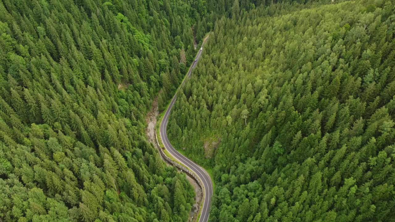 针叶林的鸟瞰图，山间有一条蜿蜒的道路穿过视频素材