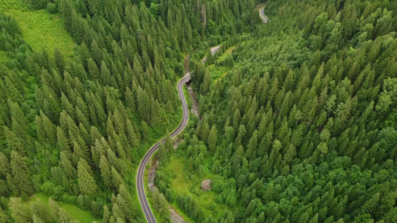 针叶林的鸟瞰图，山间有一条蜿蜒的道路穿过视频素材