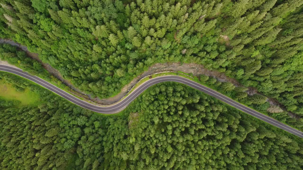 针叶林的鸟瞰图，山间有一条蜿蜒的道路穿过视频素材