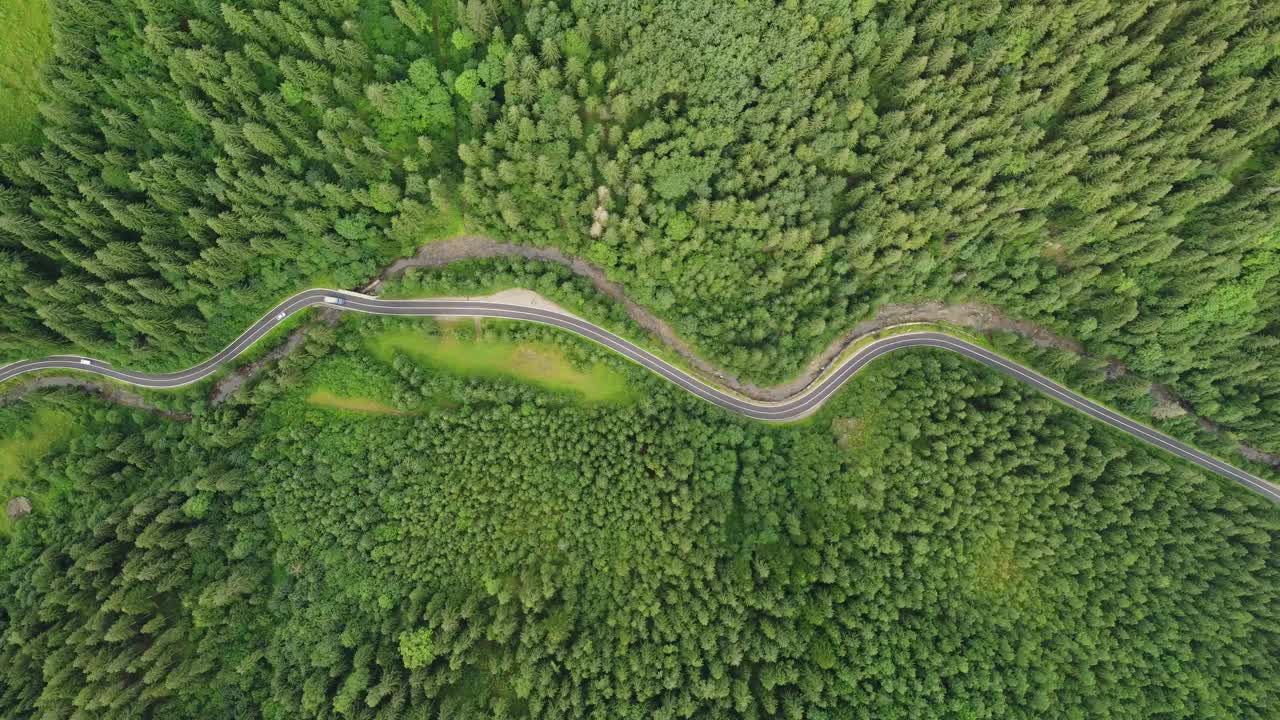 针叶林的鸟瞰图，山间有一条蜿蜒的道路穿过视频素材