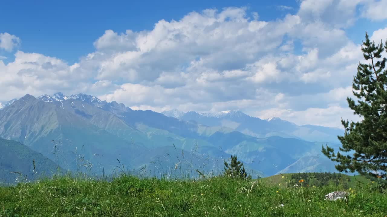 山地景观与盛开的草地视频素材