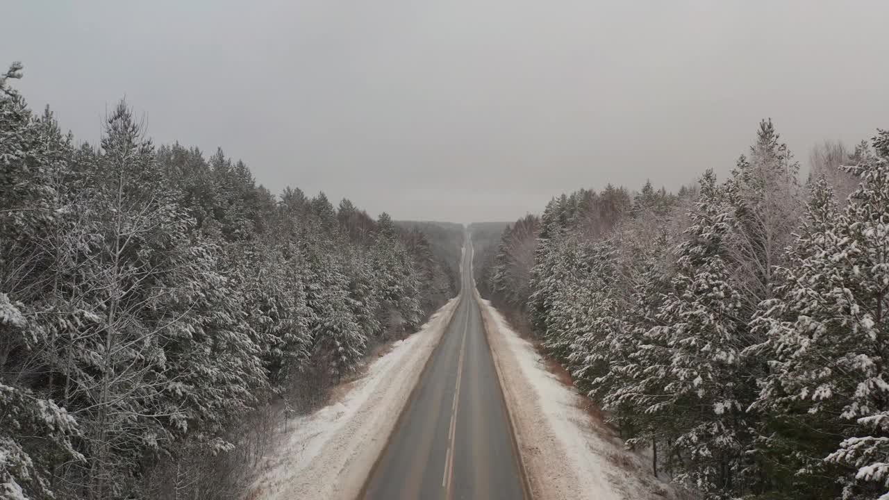 汽车行驶在冬季穿过针叶林的小路上。针叶林中冬季道路的景观。松林公路视频素材