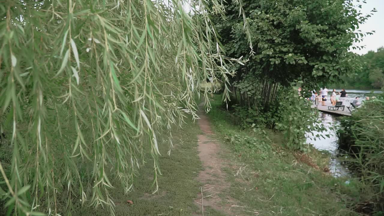 乡村夏天的风景与绿树和一个池塘在晚上视频素材