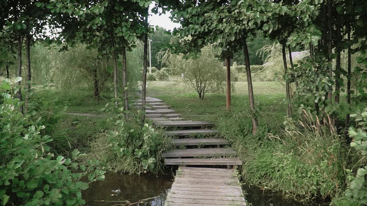 乡村夏天的风景与绿树和一个池塘在晚上视频素材