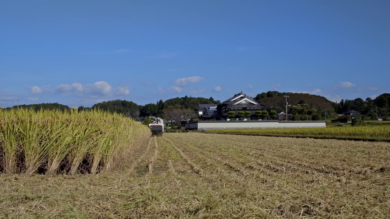 水稻收割机在日本工作。视频素材