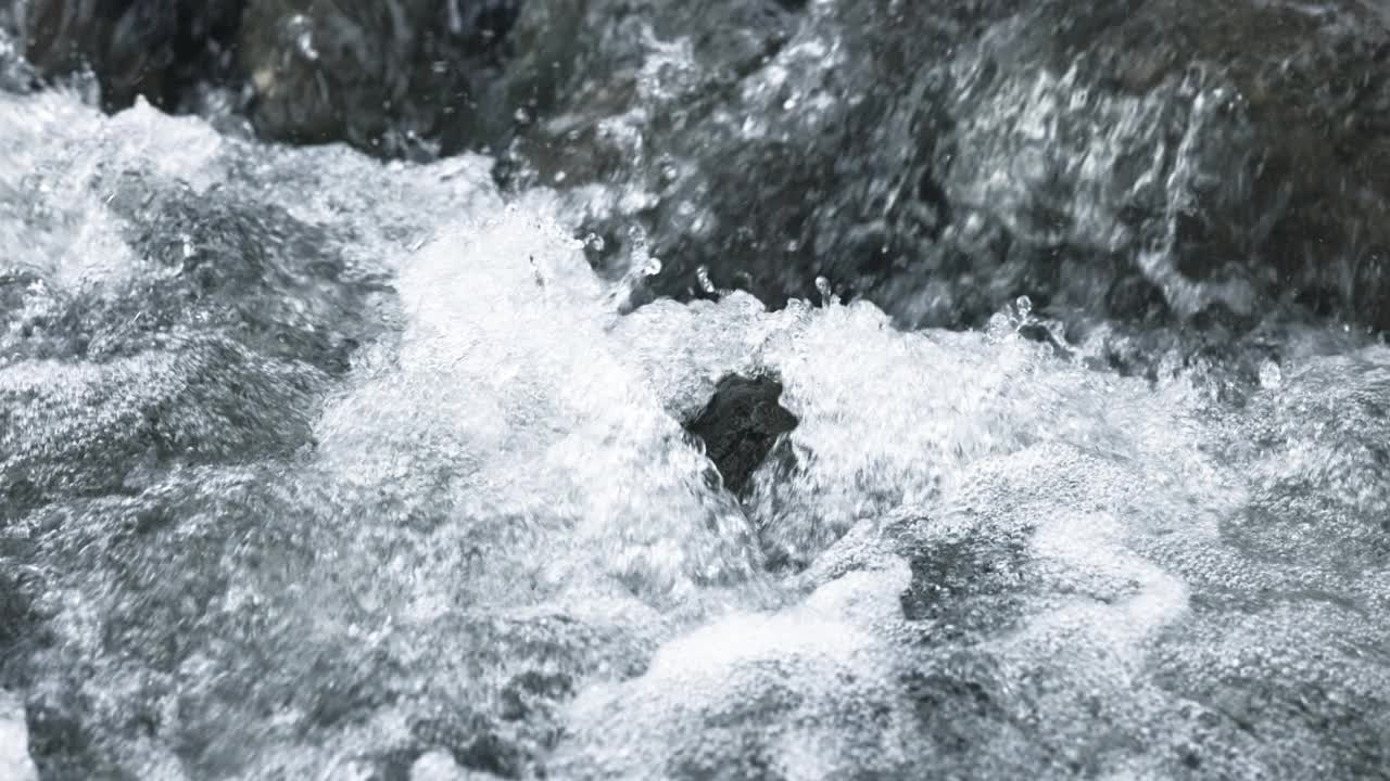 泼水，慢动作视频素材