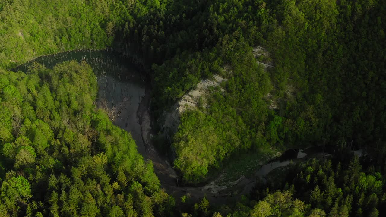 空中平移在绿树之间的道路的美丽镜头，无人机飞过森林-亚平宁山脉，意大利视频素材