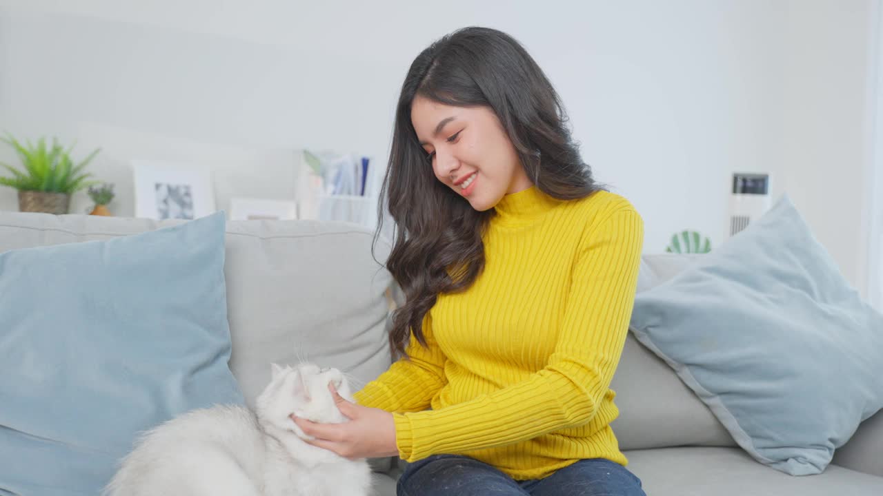 亚洲妇女抱着小猫在家里快乐地玩耍。迷人的美女坐在沙发上，在家里的客厅里和温柔的按摩着她的宠物。视频素材