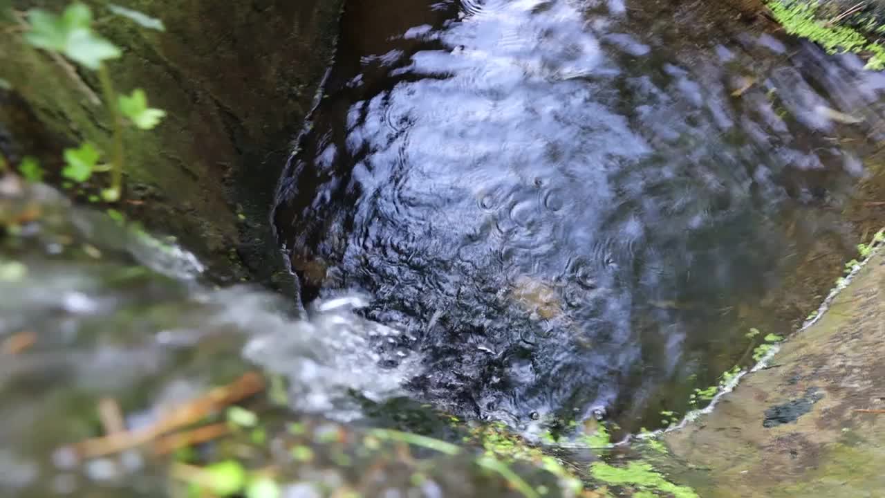 日本禅宗花园瀑布视频素材