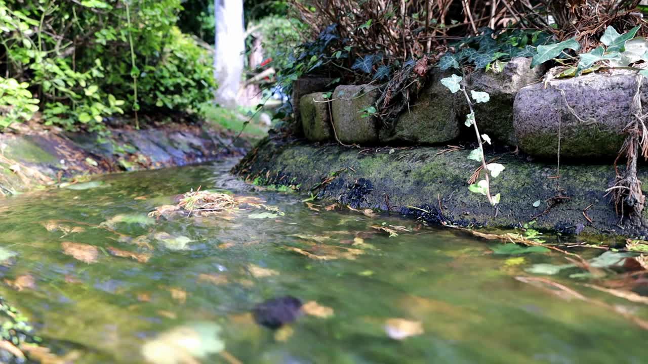 日本禅宗花园瀑布视频素材