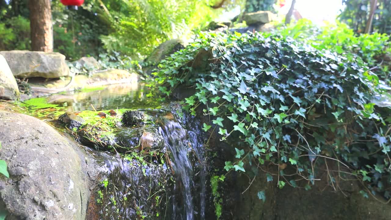 日本禅宗花园瀑布视频素材