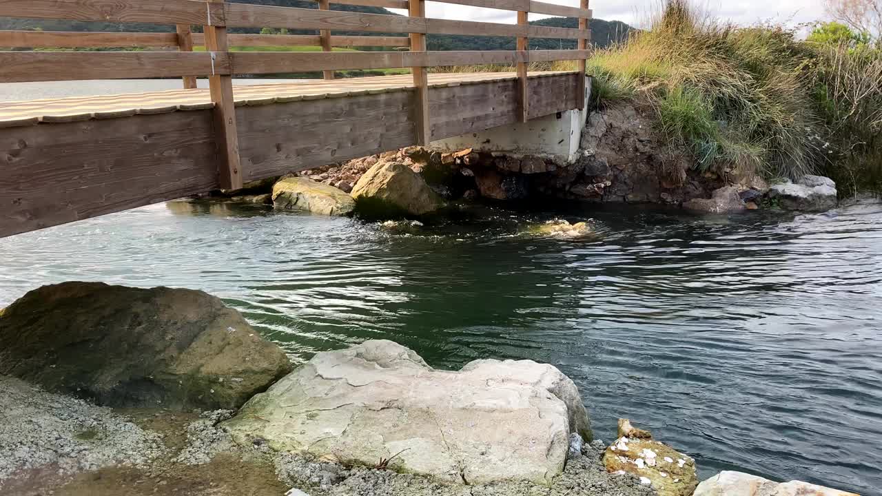 桥下流水视频下载