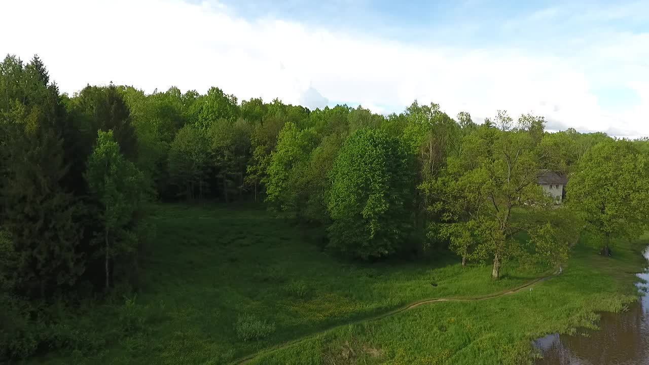 飞过一片绿色的草地，飞向森林。鸟瞰图视频素材