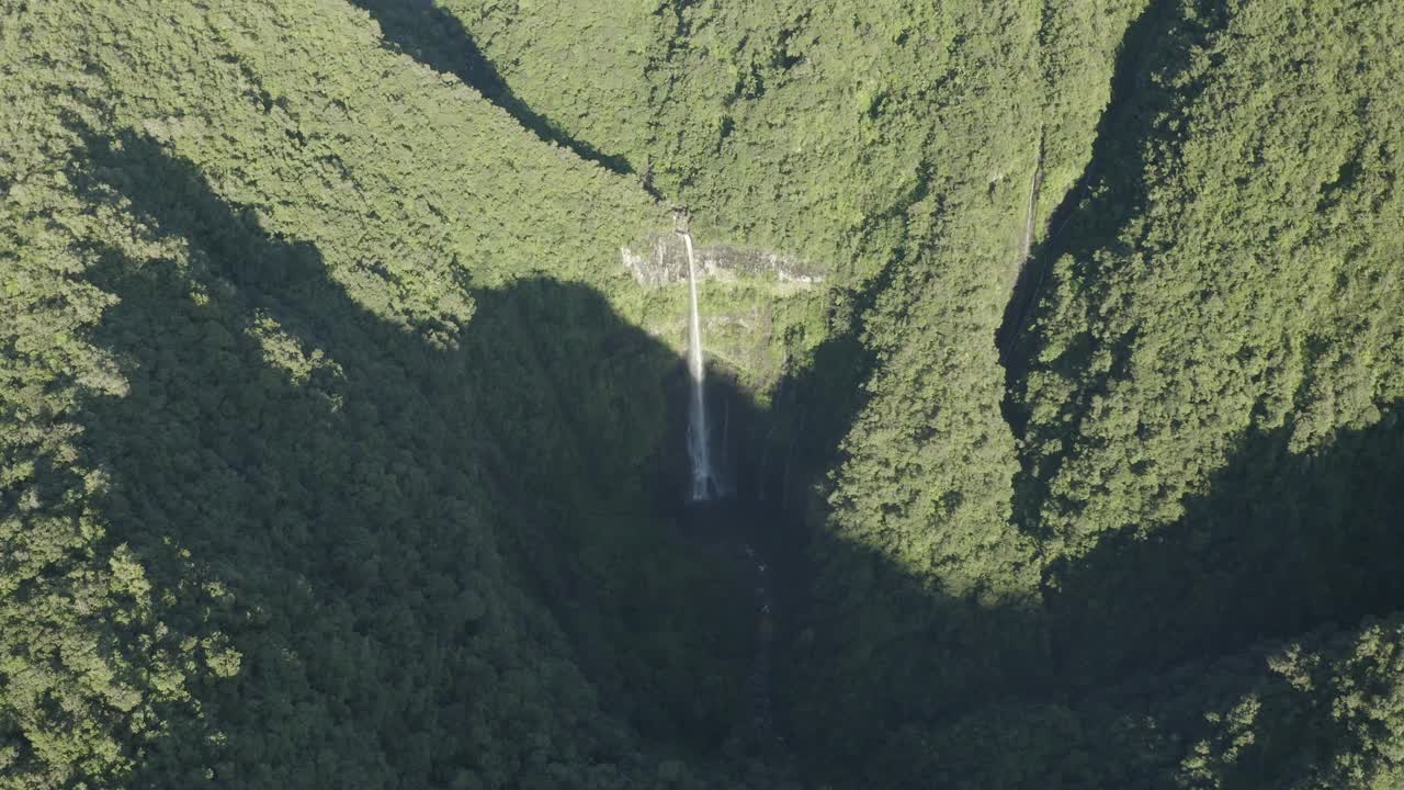 鸟瞰图的喀斯特德拉格兰德峡谷，留尼旺。视频素材