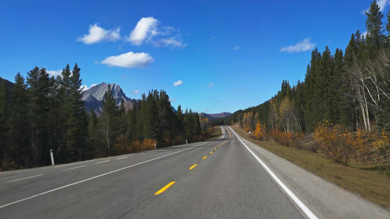 司机POV:驾驶山景在秋天视频素材