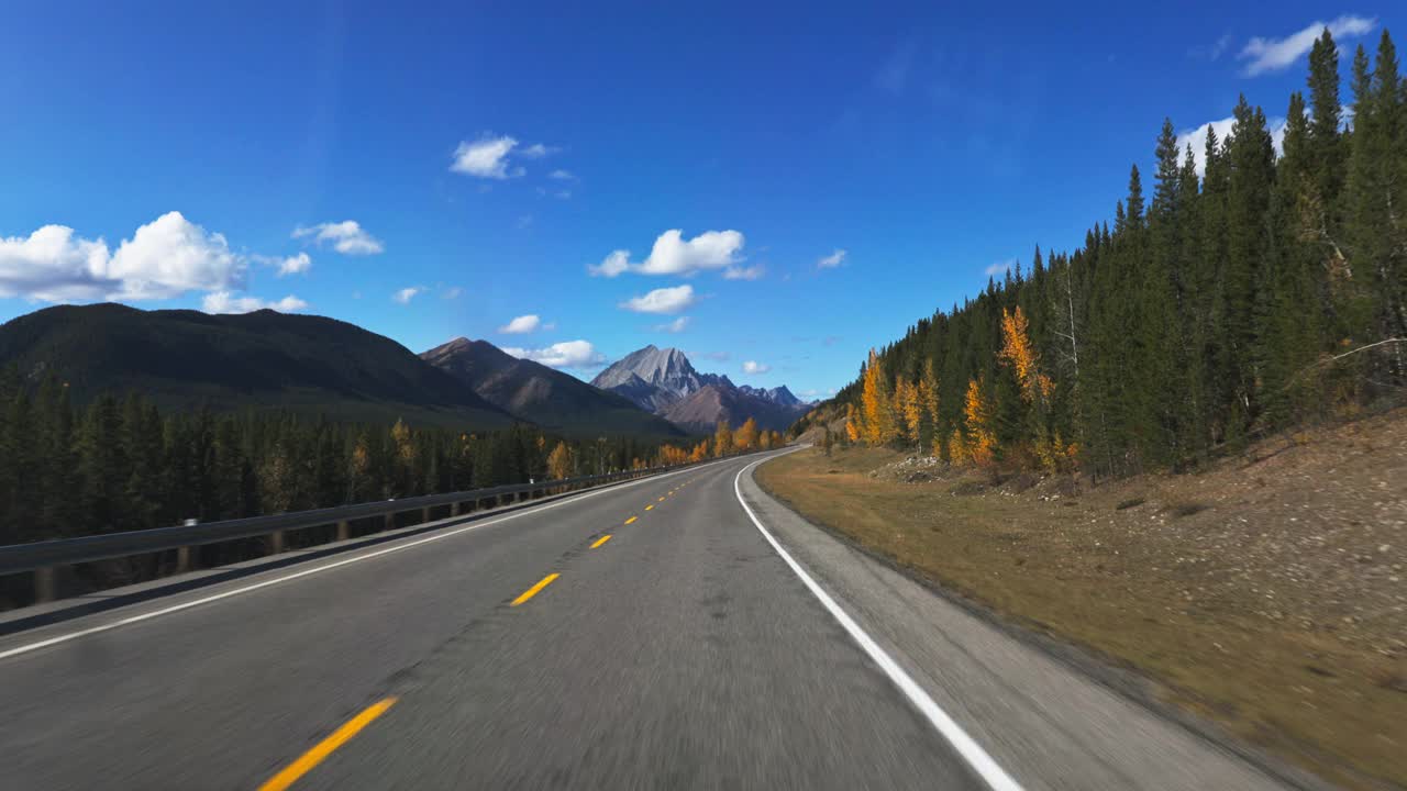 司机POV:驾驶山景在秋天视频素材