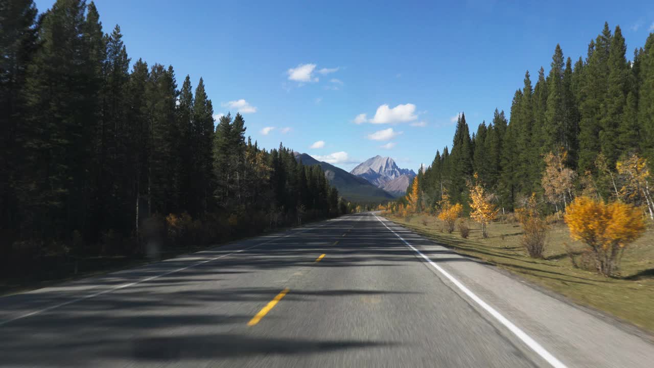 司机POV:驾驶山景在秋天视频素材