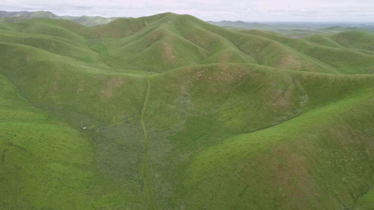 上棉白杨河野生动物区美丽的自然和景观。绿色区域，多云天空视频素材