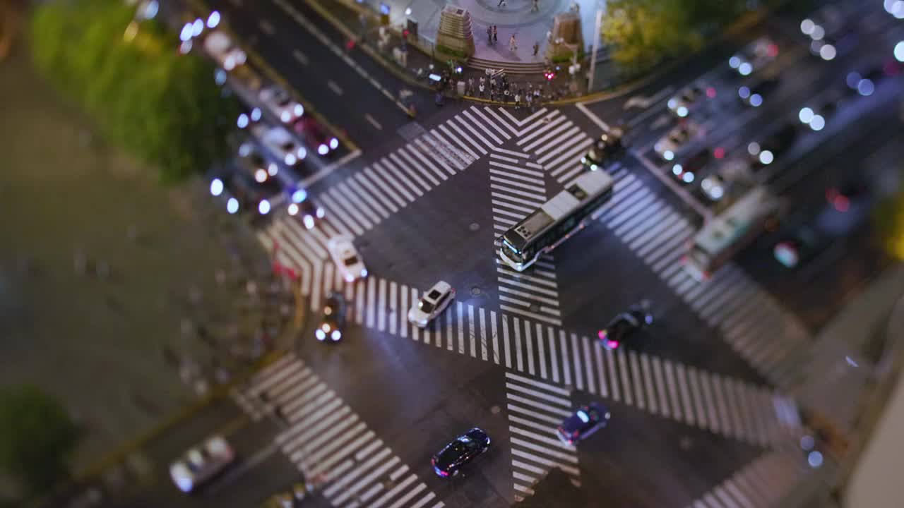 上海浦东街道上的人行横道夜景视频素材