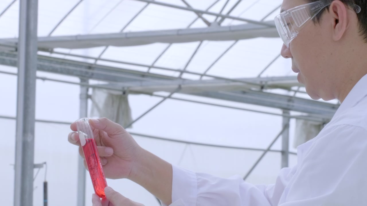 亚洲科学家在温室里用来种植水培植物的玻璃管中检测和测试溶液。水培农场生物技术人员化学检查。在有机农场种植蔬菜。视频素材画面3