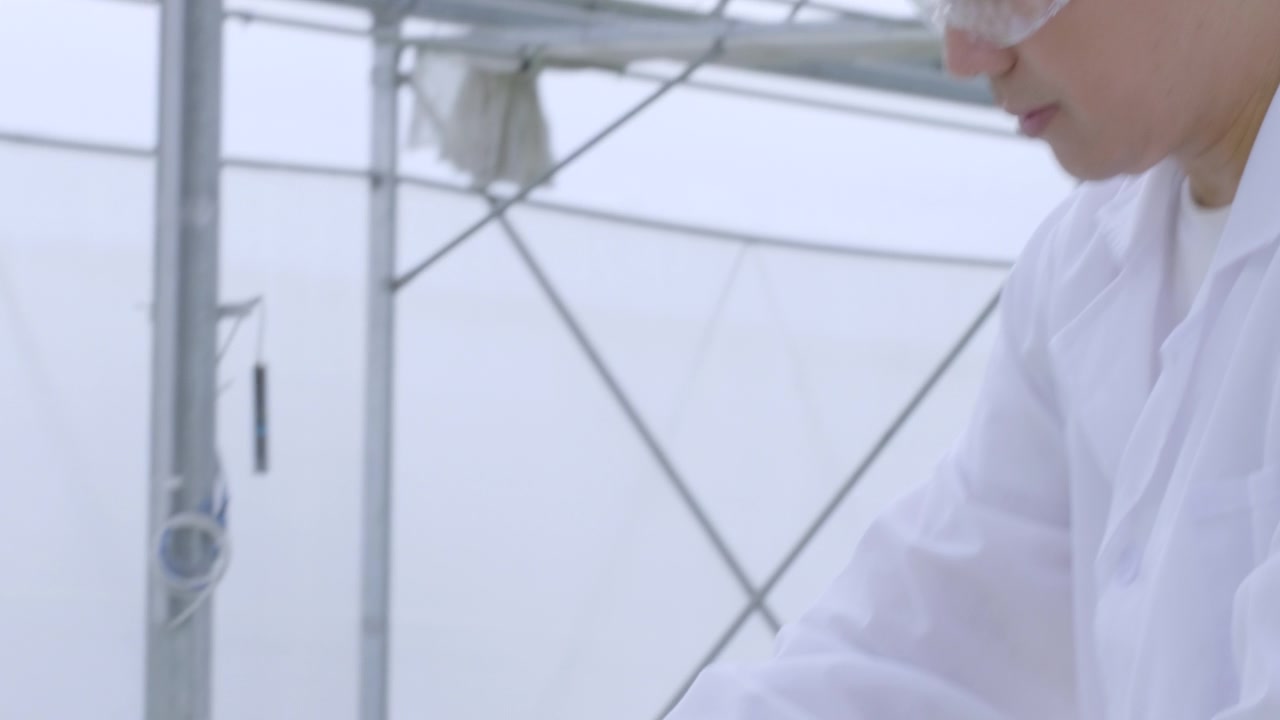 亚洲科学家在温室里用来种植水培植物的玻璃管中检测和测试溶液。水培农场生物技术人员化学检查。在有机农场种植蔬菜。视频素材画面4