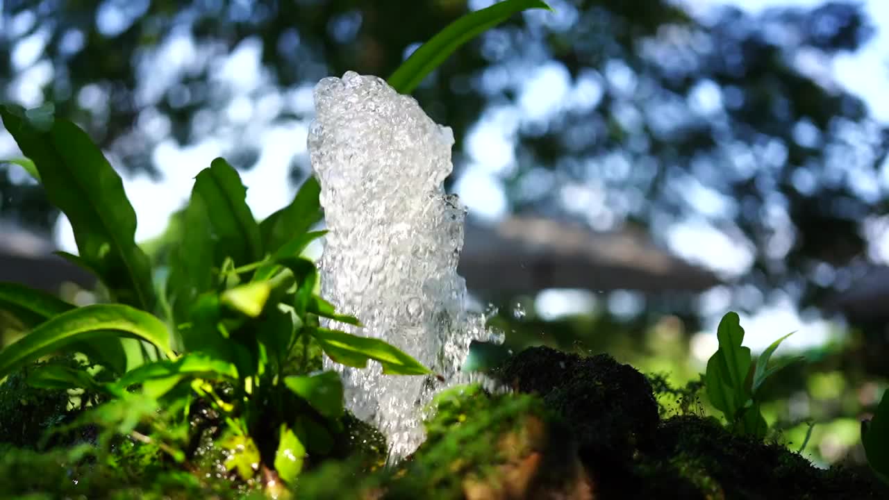 喷泉花园视频素材