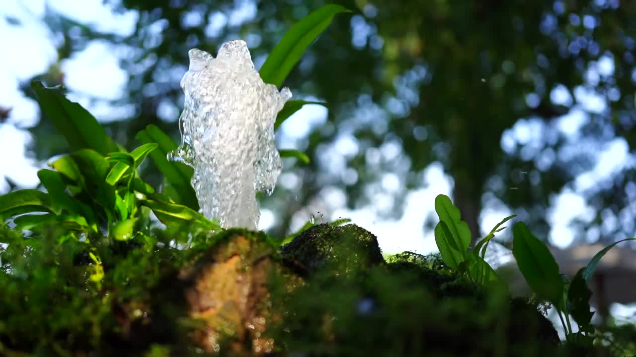 喷泉花园视频素材