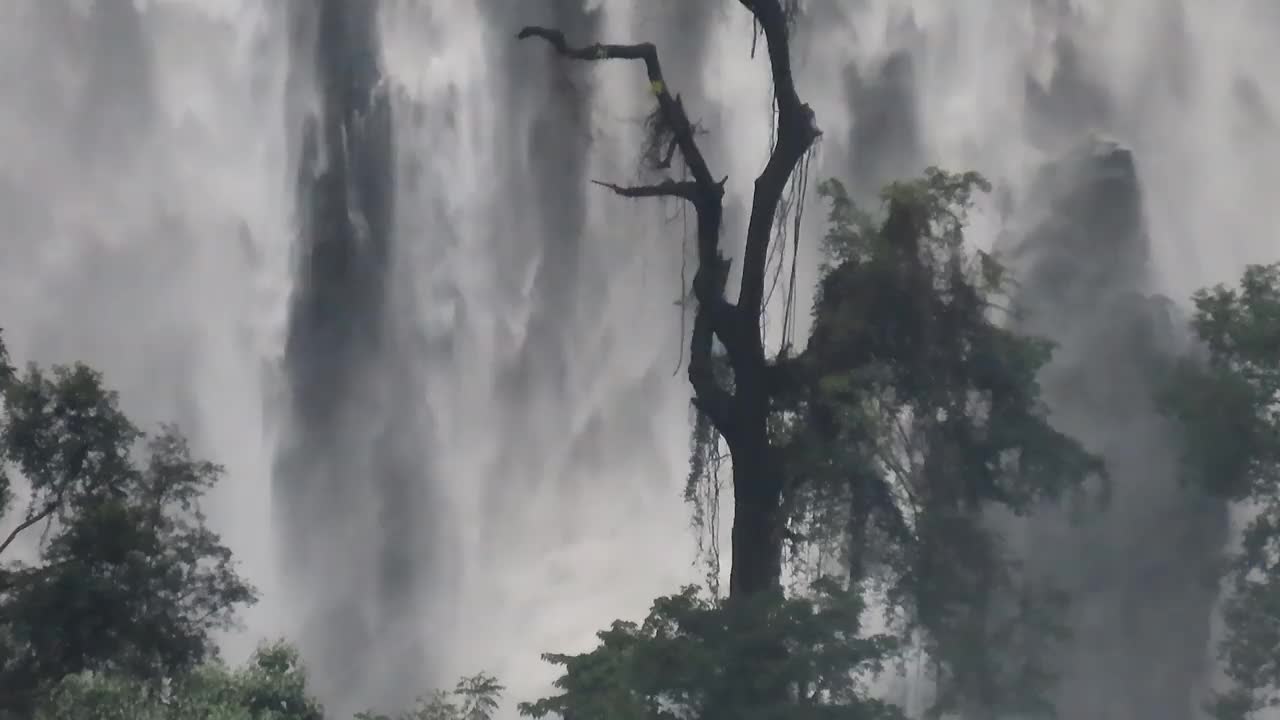 热带雨林瀑布落下视频素材