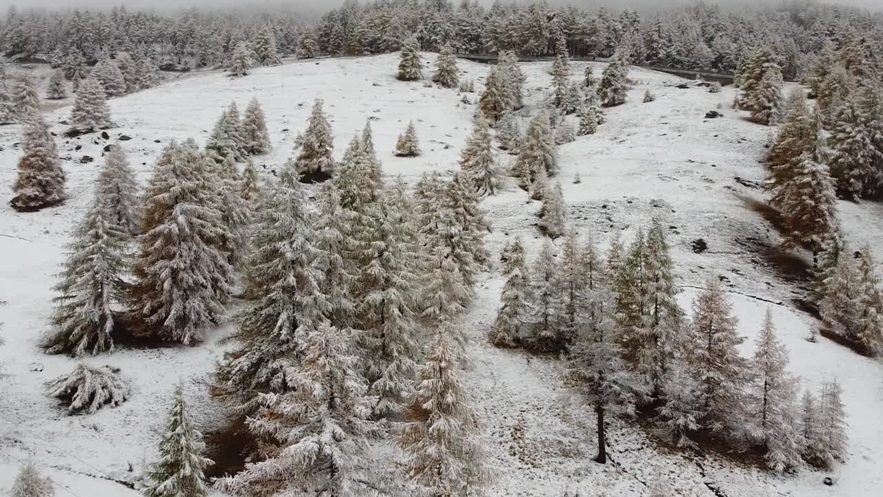 阿尔卑斯山的第一场雪视频素材