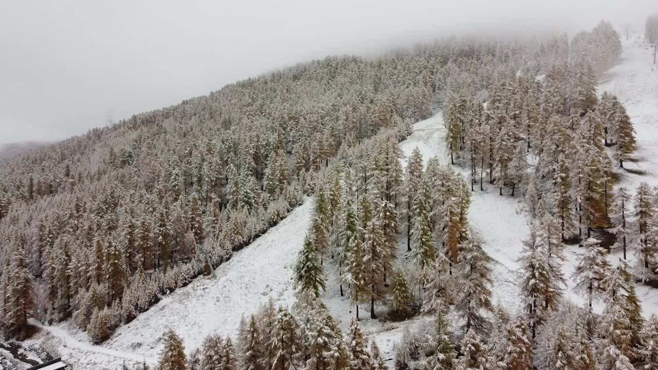 阿尔卑斯山的第一场雪视频素材