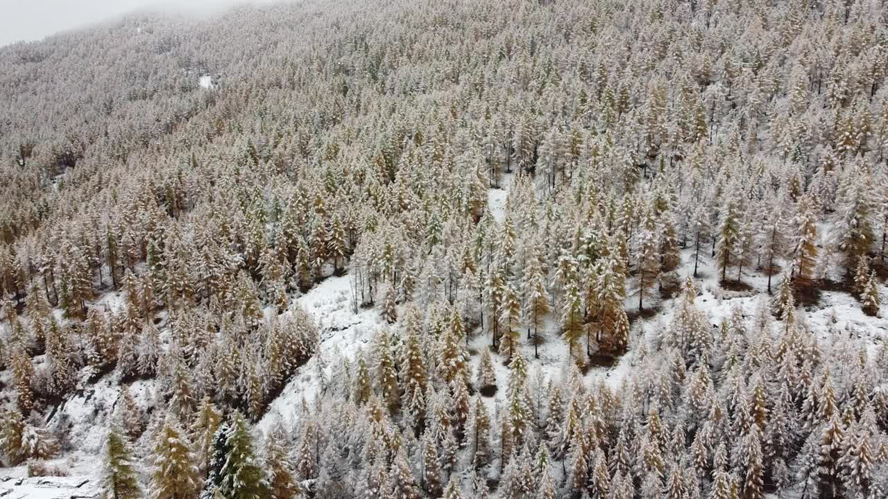 阿尔卑斯山的第一场雪视频素材