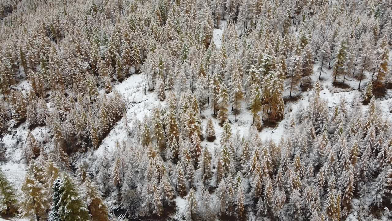 阿尔卑斯山的第一场雪视频素材