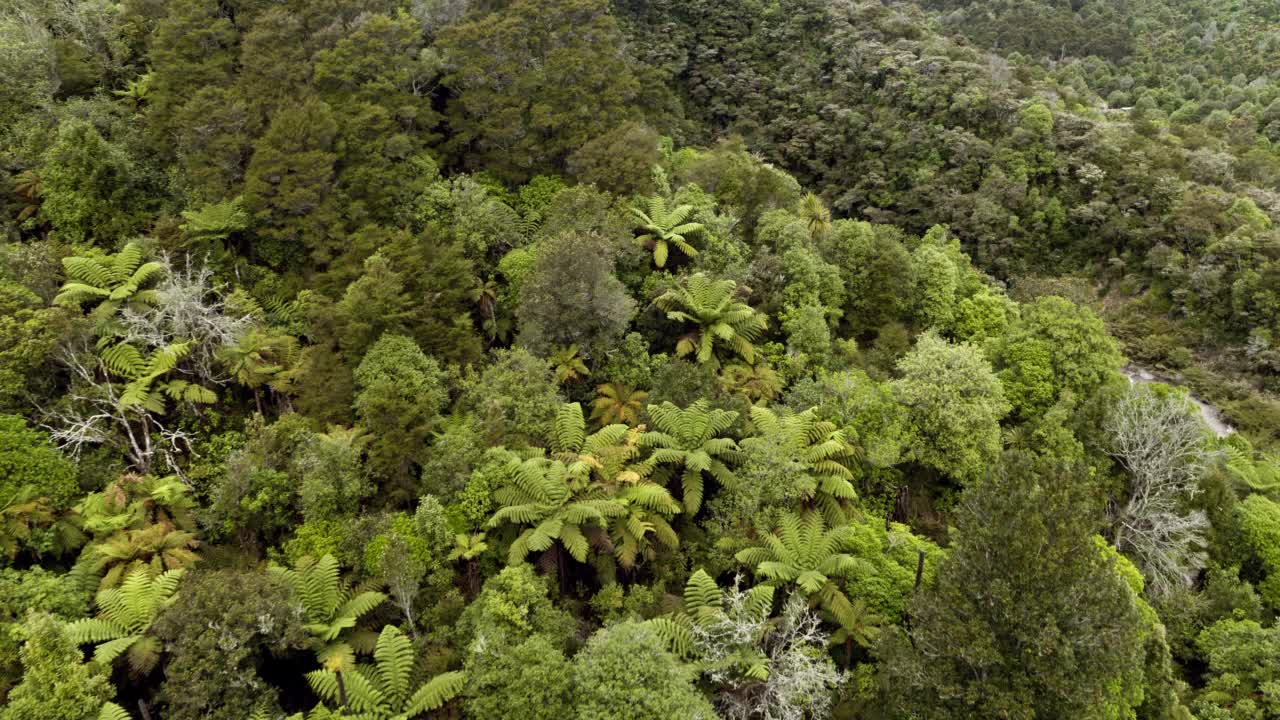 怀曼古火山谷航拍视频素材