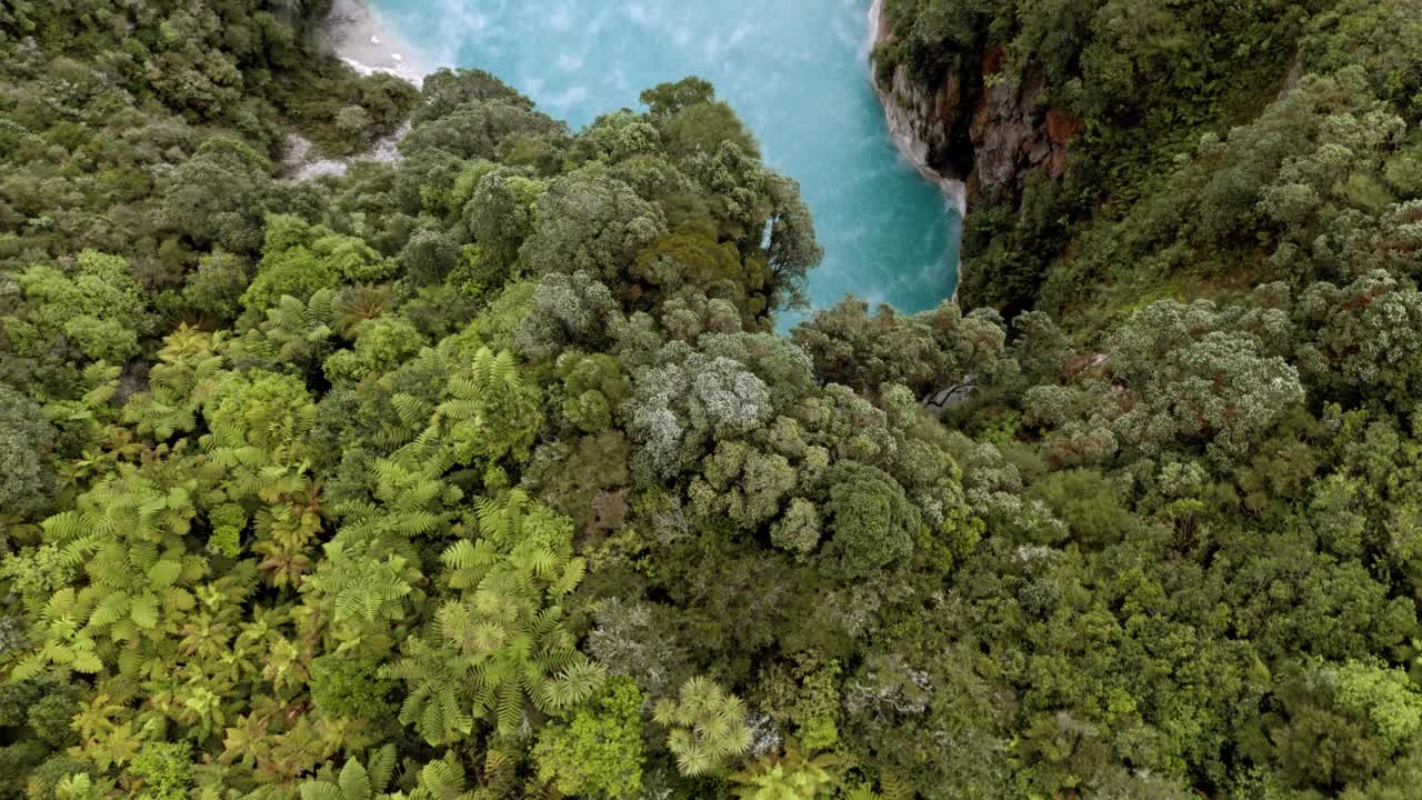 Waimangu火山谷视频素材