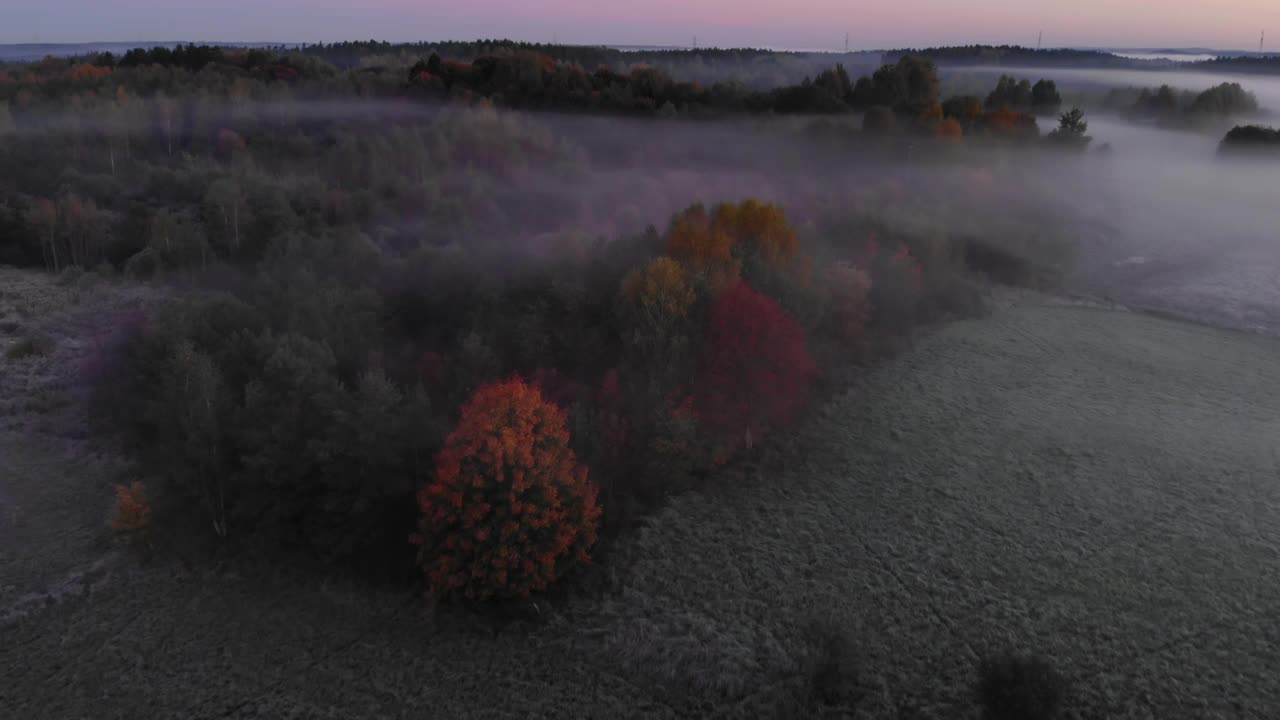 鸟瞰图。雾蒙蒙的乡村的日出。魔法雾到地平线。壮丽的自然景观。令人惊叹的鸟瞰图的雾蒙蒙和五颜六色的树木在日出。秋天的雾景观。雄伟的雾森林视频素材