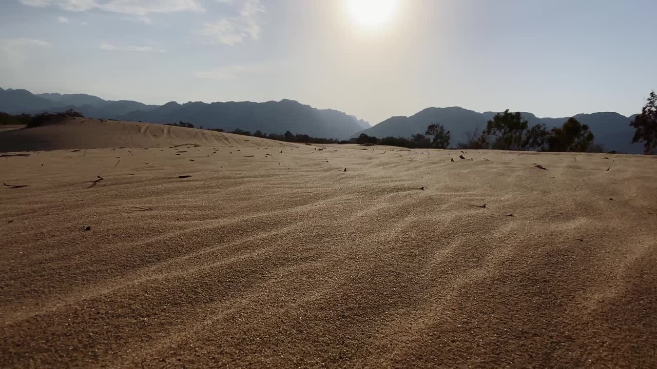 西奈沙漠沙丘视频素材