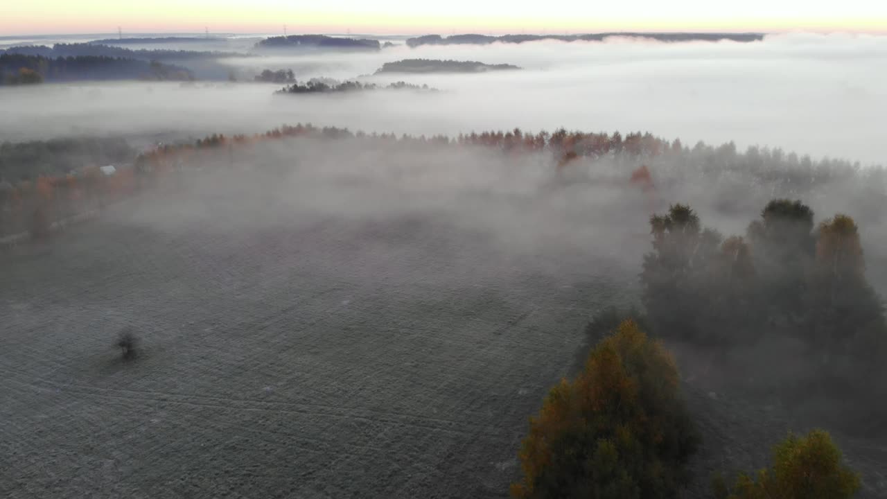 鸟瞰图。雾蒙蒙的乡村的日出。魔法雾到地平线。壮丽的自然景观。令人惊叹的鸟瞰图的雾蒙蒙和五颜六色的树木在日出。秋天的雾景观。雄伟的雾森林视频素材