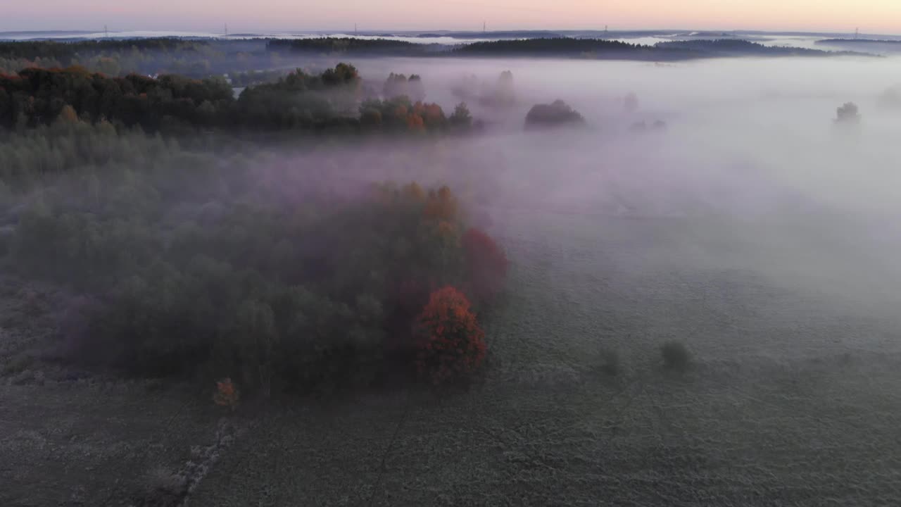 鸟瞰图。雾蒙蒙的乡村的日出。魔法雾到地平线。壮丽的自然景观。令人惊叹的鸟瞰图的雾蒙蒙和五颜六色的树木在日出。秋天的雾景观。雄伟的雾森林视频素材