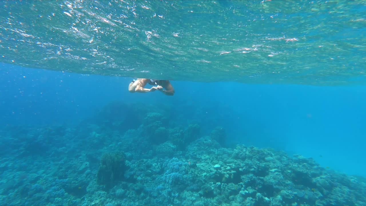 红海水下视频素材